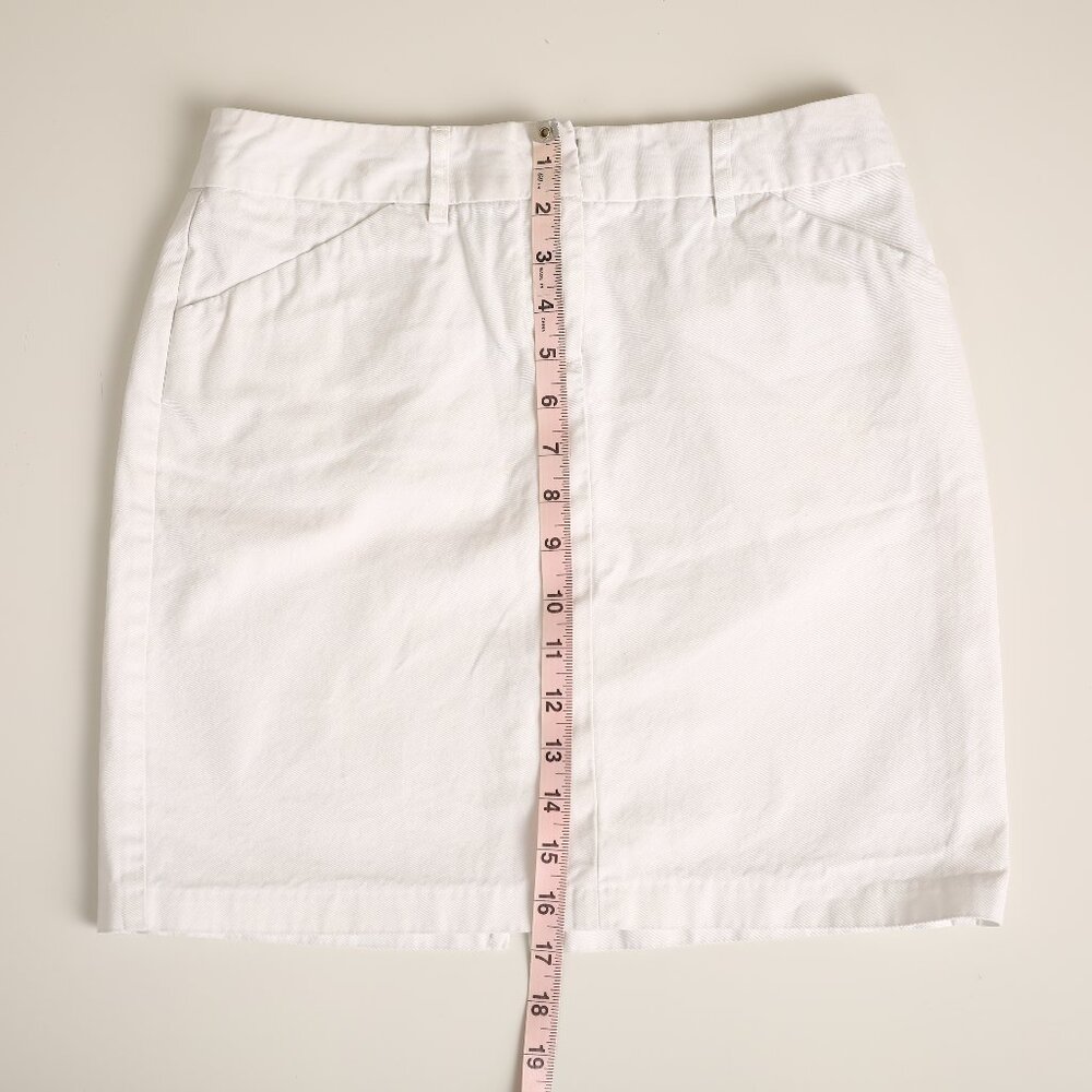 Express VINTAGE size 2 skirt